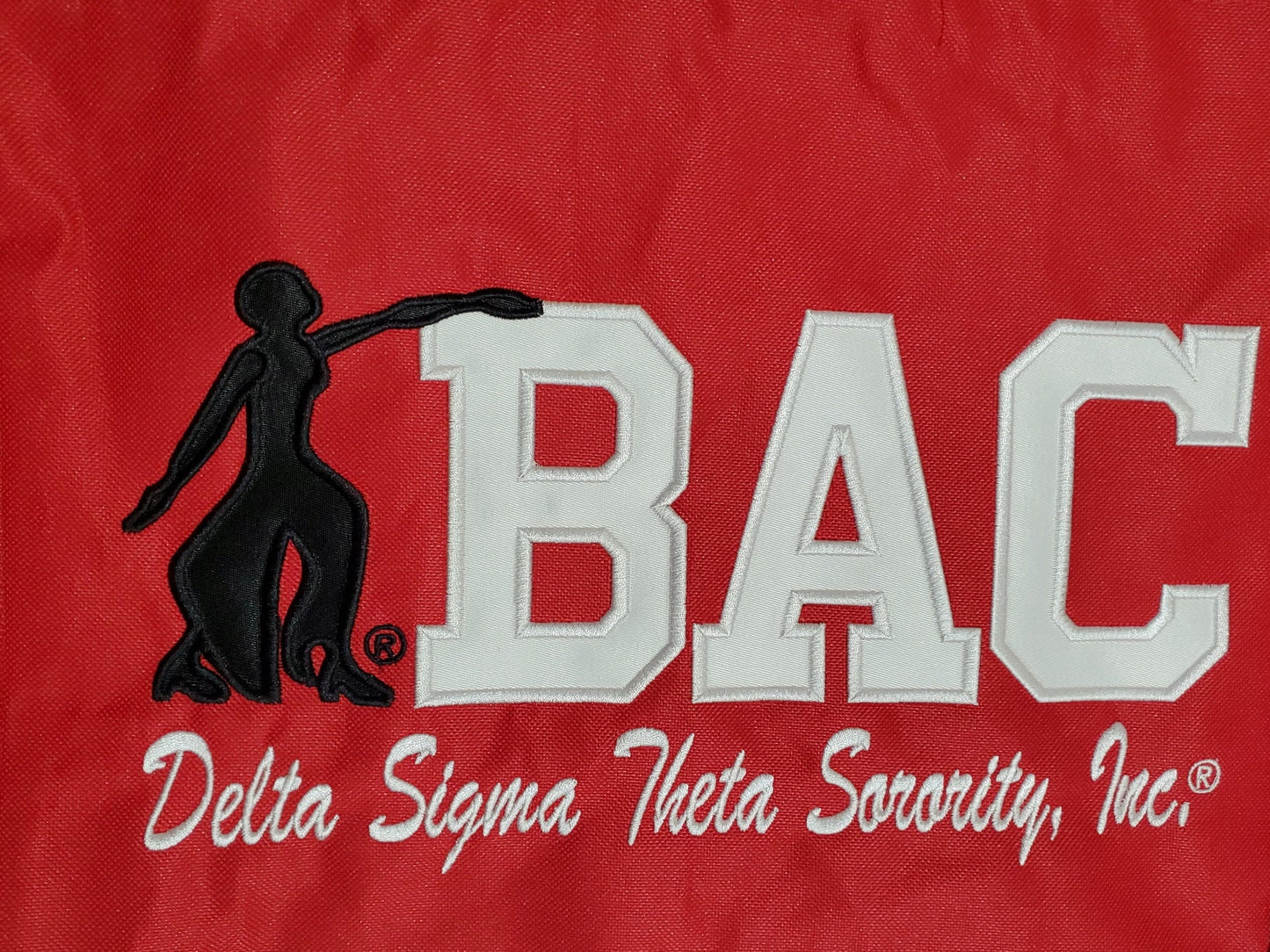 Baltimore Alumnae Chapter (BAC) with Fortitude Ladies T-Shirt