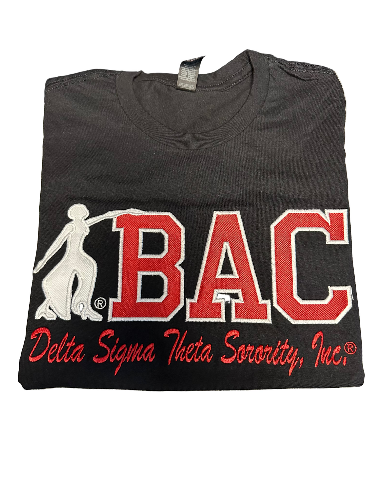 Baltimore Alumnae Chapter (BAC) with Fortitude Ladies T-Shirt