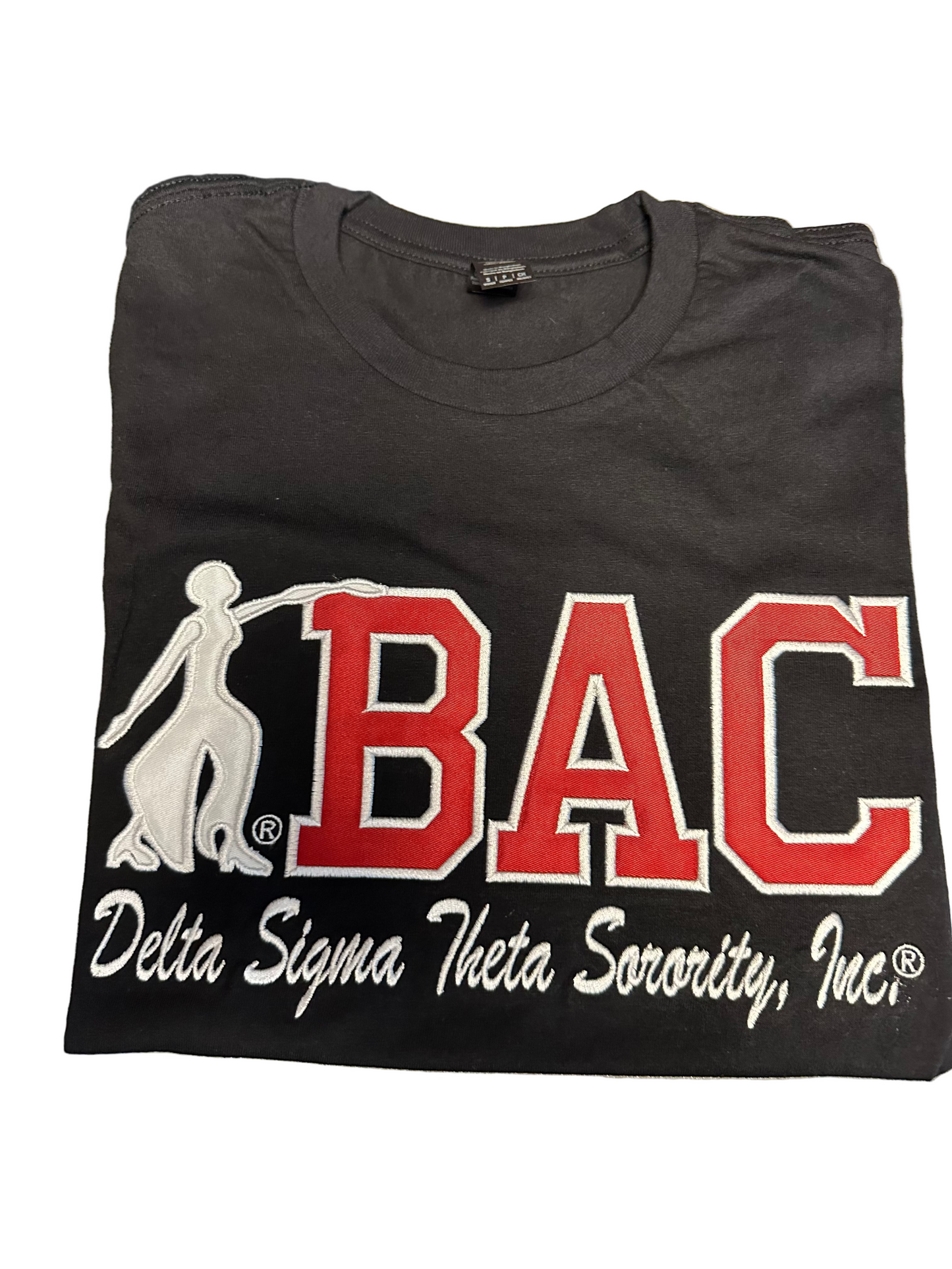 Baltimore Alumnae Chapter (BAC) with Fortitude Ladies T-Shirt