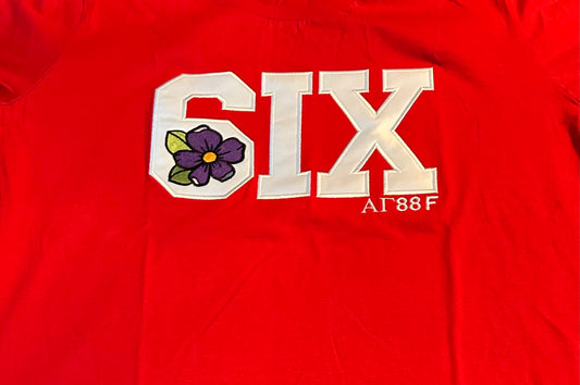 6IX with violet